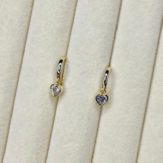 Elegant Heart Ohrringe SROBISS2-1F